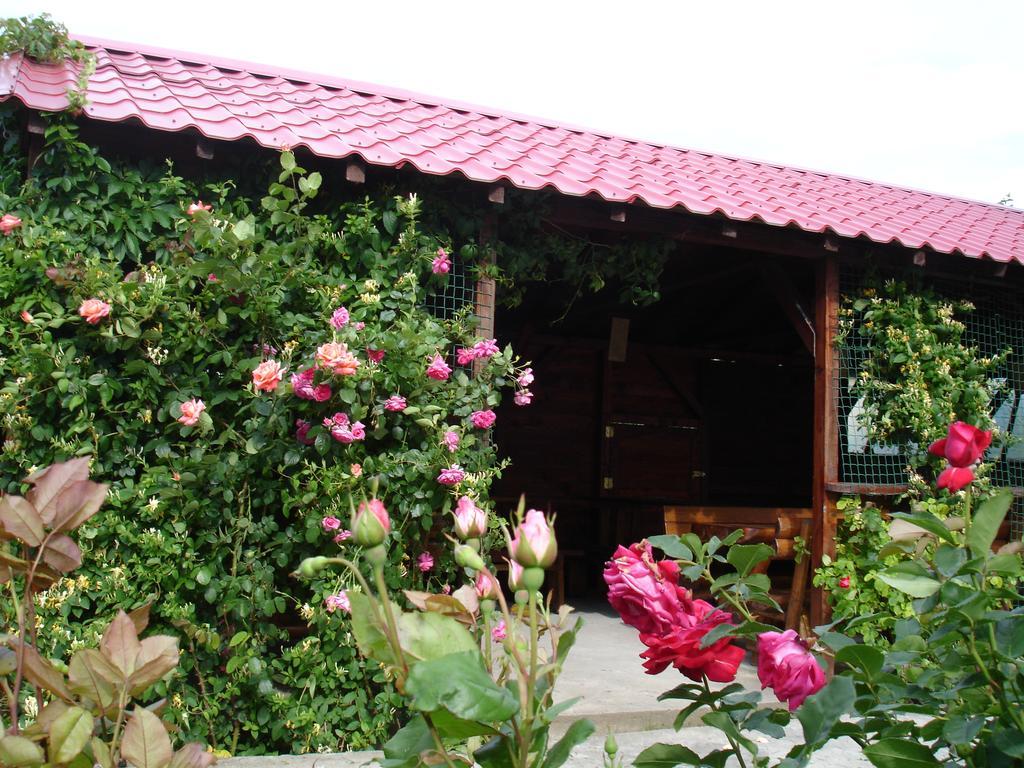 Vila Albatros Vama Veche Exteriér fotografie