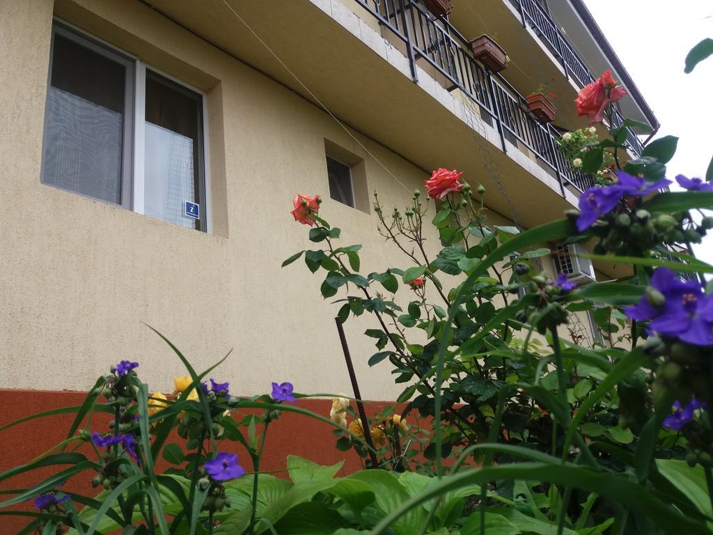 Vila Albatros Vama Veche Exteriér fotografie