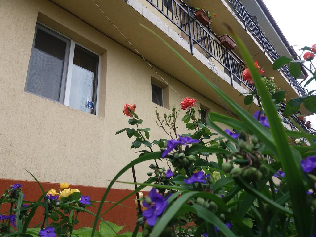 Vila Albatros Vama Veche Exteriér fotografie