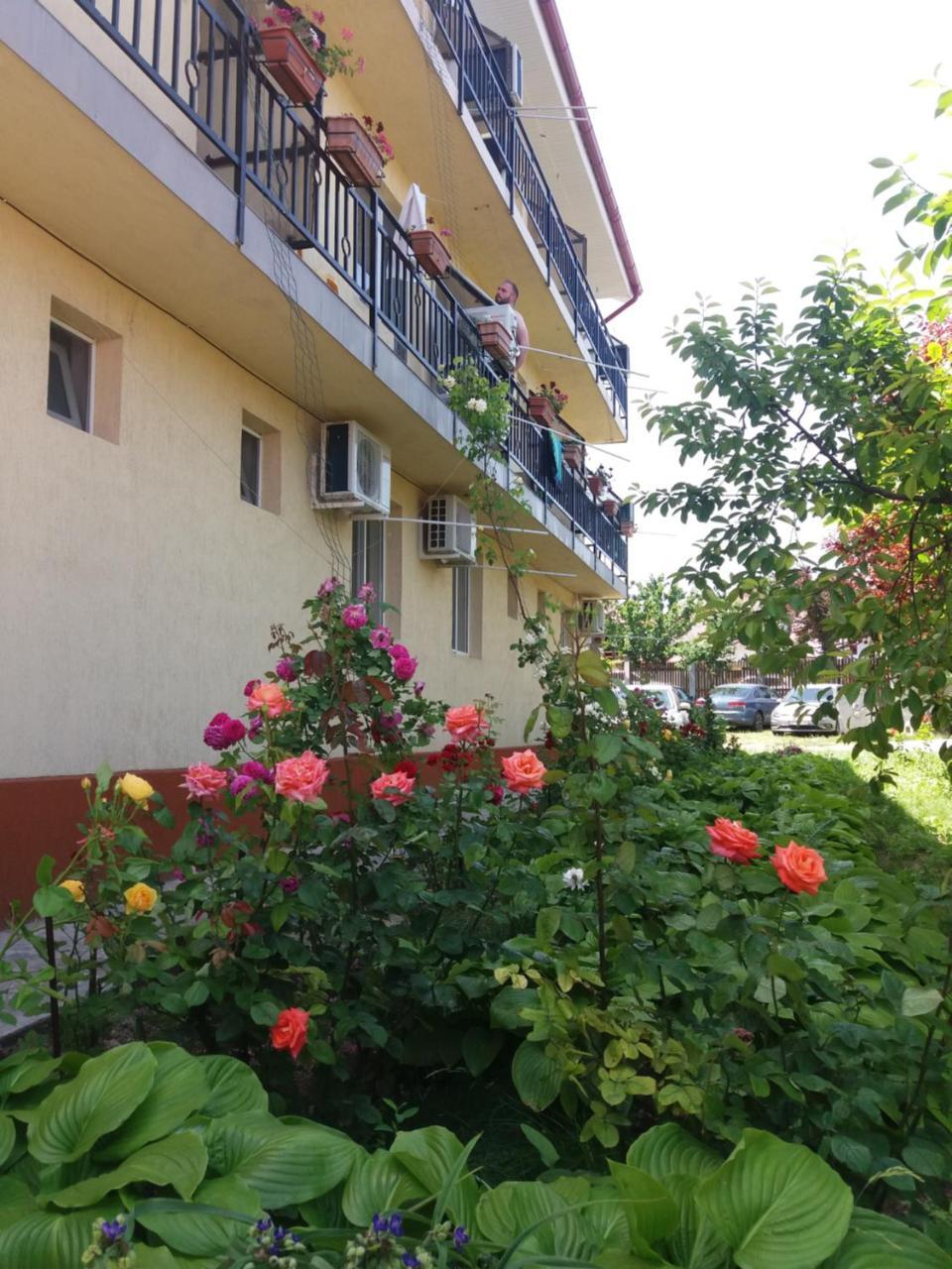 Vila Albatros Vama Veche Exteriér fotografie